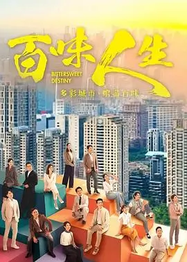 热播电视剧全集《雾港回声》手机免费在线观看